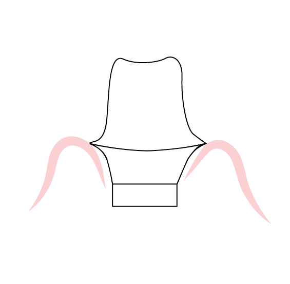 Full Anatomical
